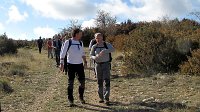 333_Proas-Balces-2016_17