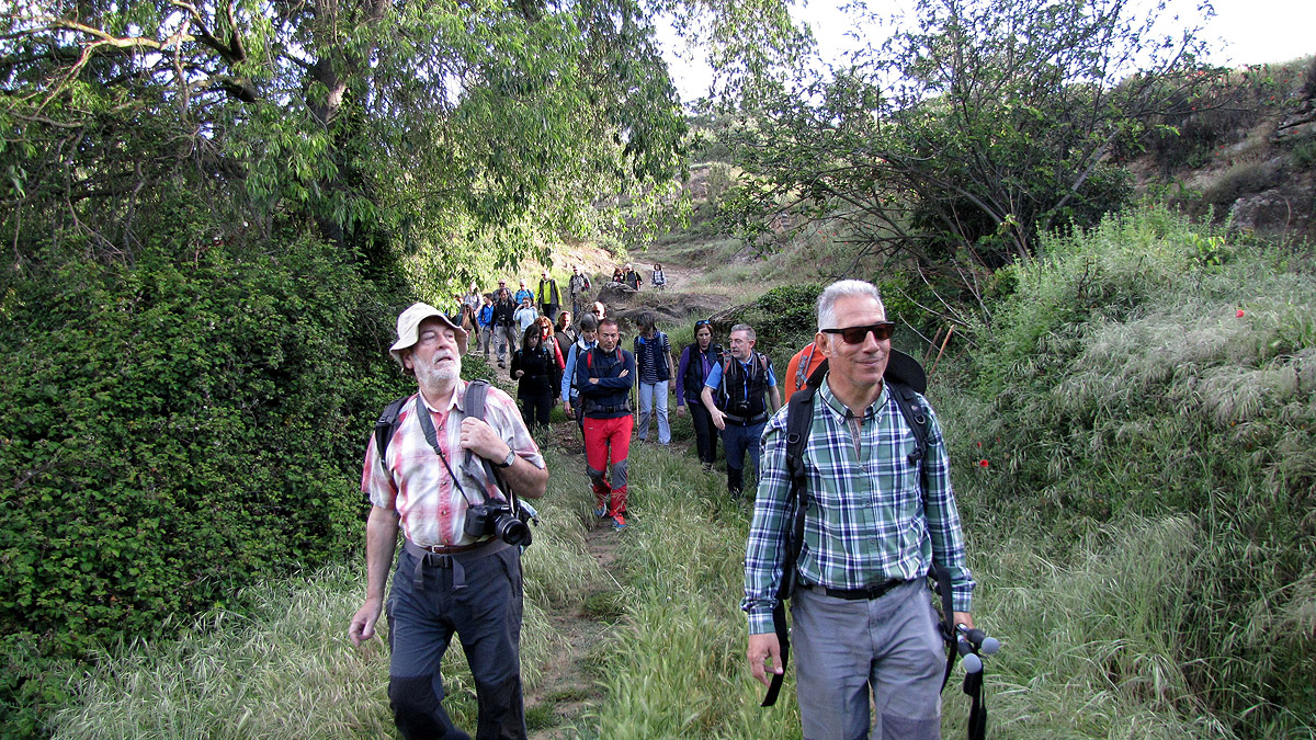 341_Alcanadre-2017_02