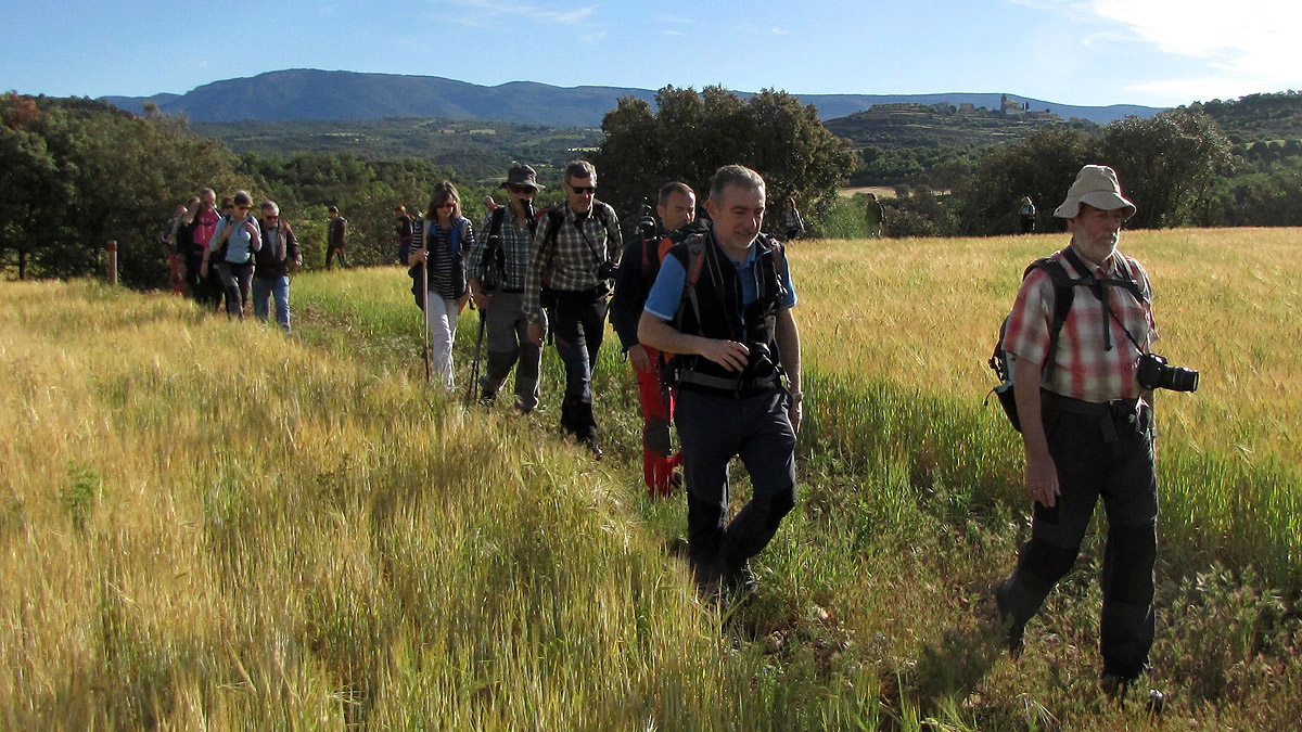 341_Alcanadre-2017_06