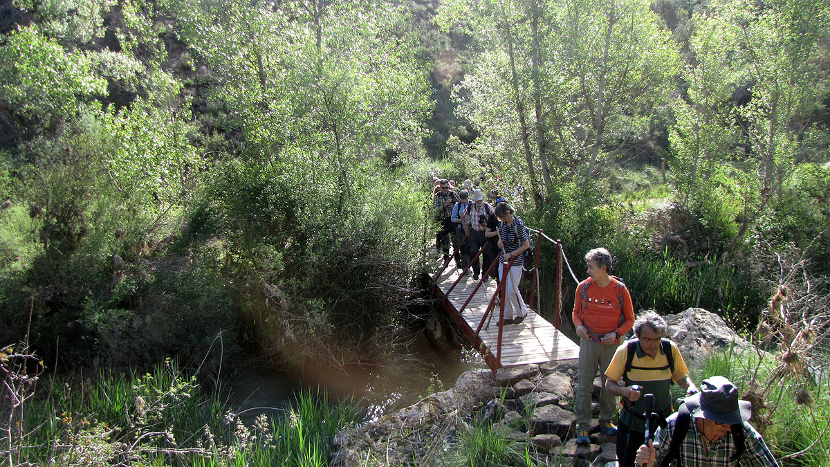 341_Alcanadre-2017_19