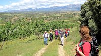 341_Alcanadre-2017_33