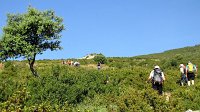 342_Nabain-2017_11