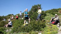 342_Nabain-2017_14