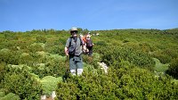 342_Nabain-2017_16