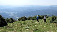 342_Nabain-2017_28