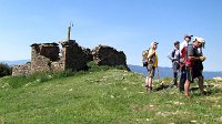 342_Nabain-2017_30