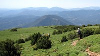 342_Nabain-2017_41