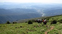 342_Nabain-2017_42