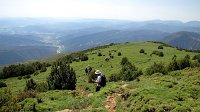 342_Nabain-2017_43