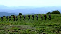 342_Nabain-2017_45