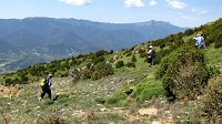 342_Nabain-2017_46