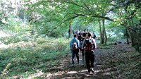 344_Chemin-2017_18