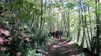 344_Chemin-2017_21