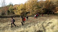 347_Aguilar-2017_04