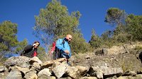 347_Aguilar-2017_31