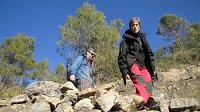 347_Aguilar-2017_32