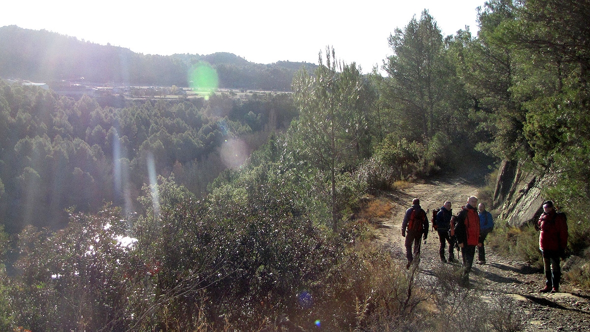 348_Gallego-2017_15