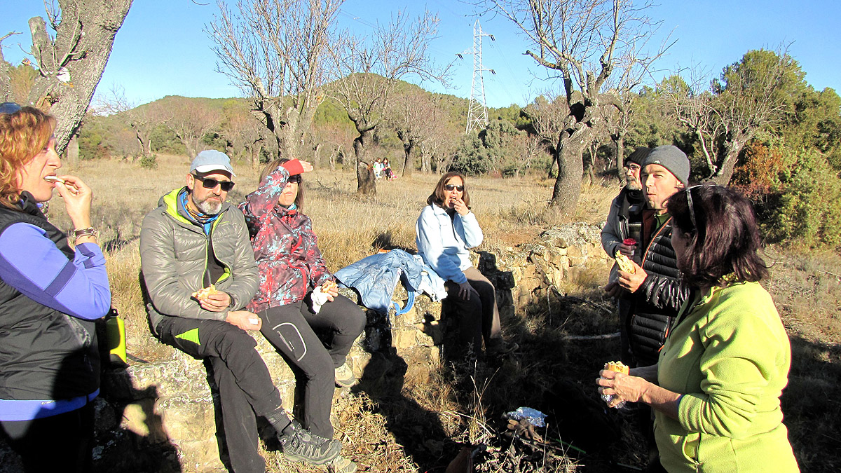 348_Gallego-2017_22