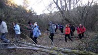 348_Gallego-2017_04