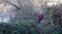 348_Gallego-2017_08