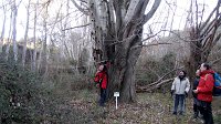 348_Gallego-2017_10