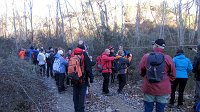 348_Gallego-2017_11