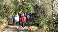 348_Gallego-2017_13