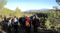 348_Gallego-2017_16