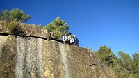 348_Gallego-2017_17
