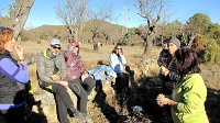 348_Gallego-2017_22