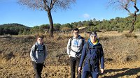 348_Gallego-2017_23