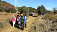 348_Gallego-2017_24