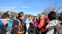 348_Gallego-2017_26