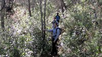 348_Gallego-2017_27