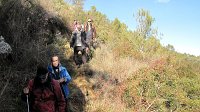 348_Gallego-2017_29