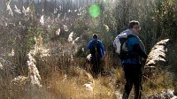 348_Gallego-2017_31