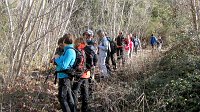 348_Gallego-2017_34