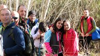 348_Gallego-2017_35